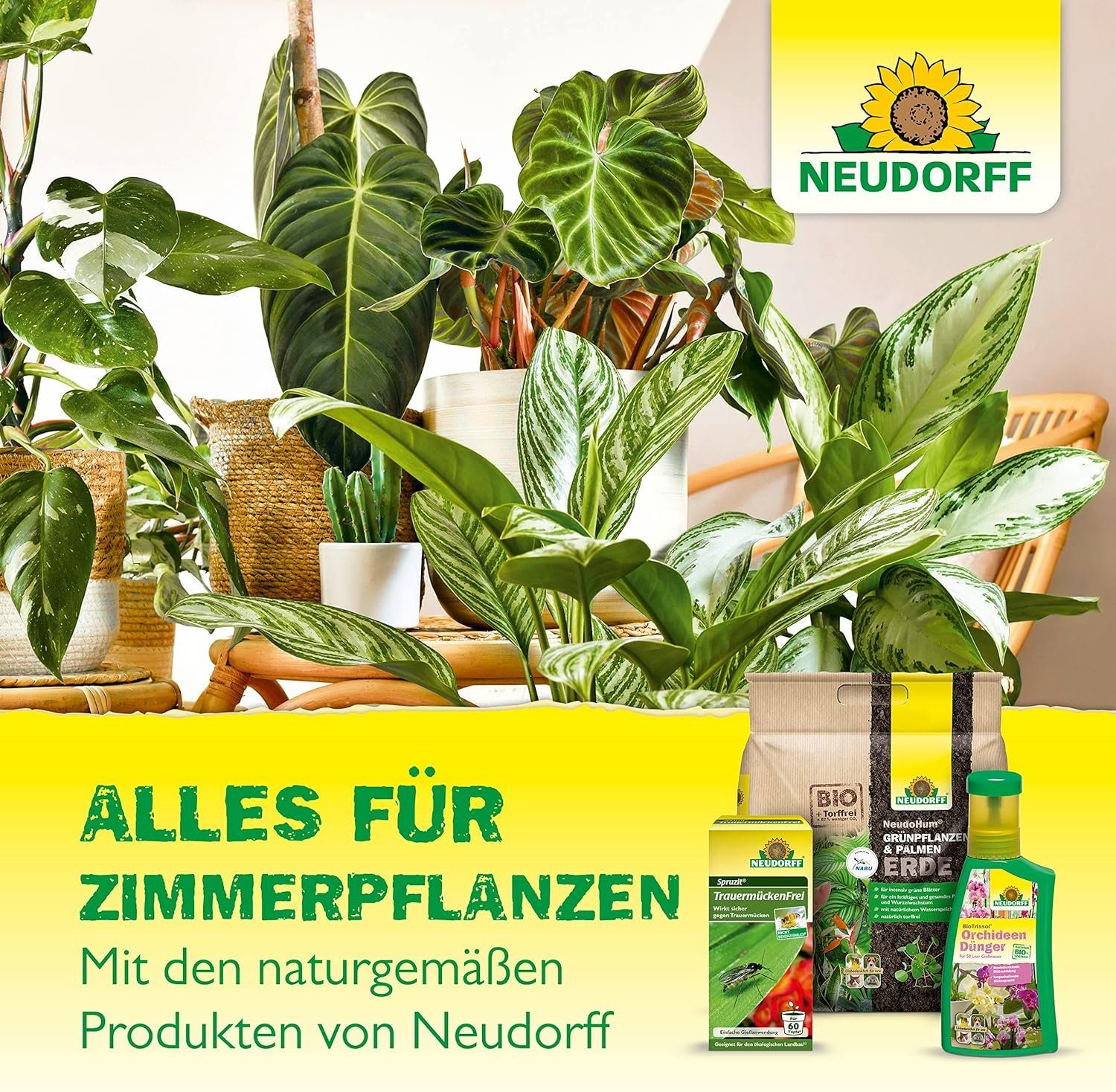 Neudorff Insektenfalle Gelb-Sticker, gegen kleine fliegende Schädlinge wie Trauermücken, insektizid frei