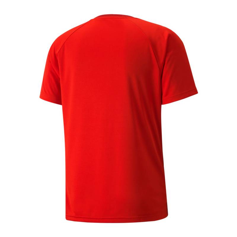PUMA teamVISION Trikot Trikot Herren