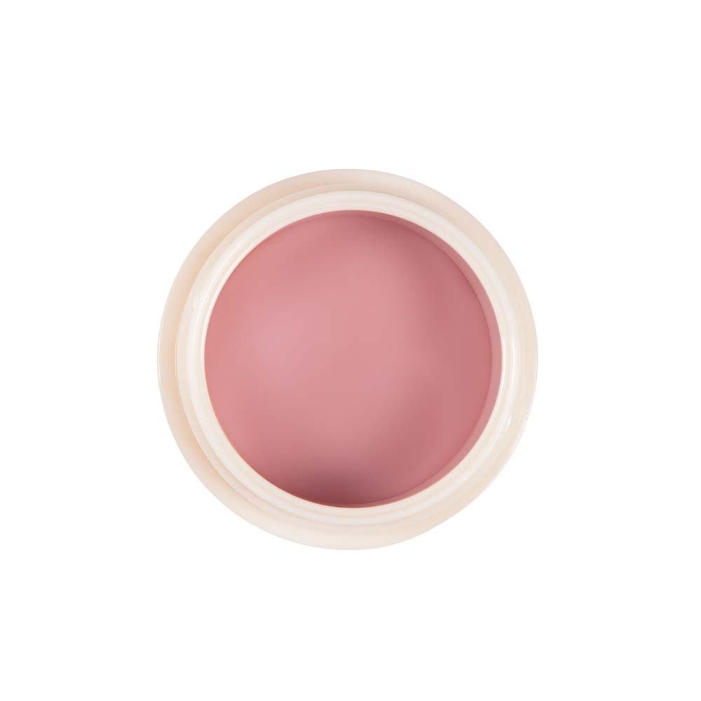 Diego Dalla Palma REPAIR MY LIPS masque lèvres réparateur102 Masque lèvres