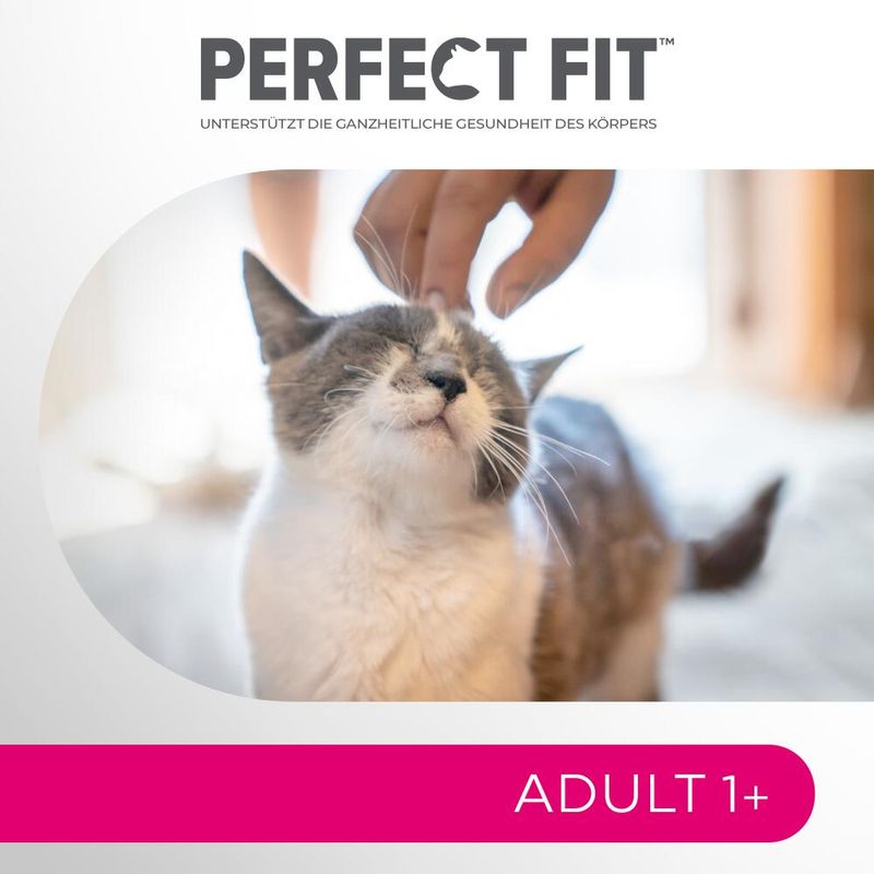 Perfect Fit Active 1+ Reich an Rind zu TOP-Preisen