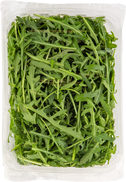 Rucola grün