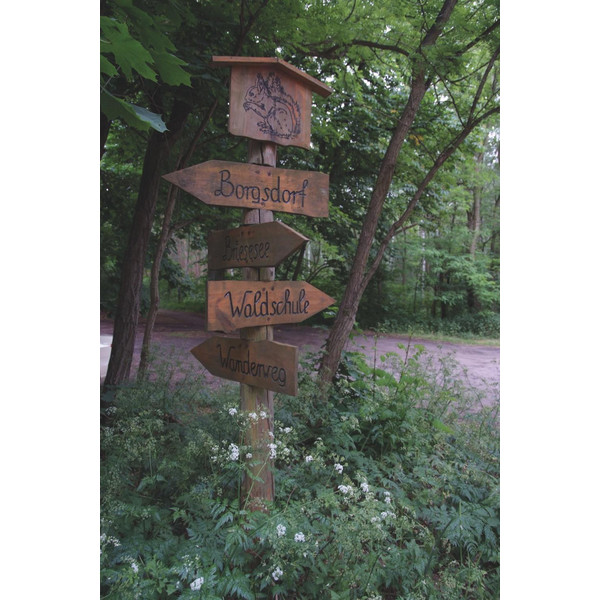 Waldpfade Berlin - Wanderführer