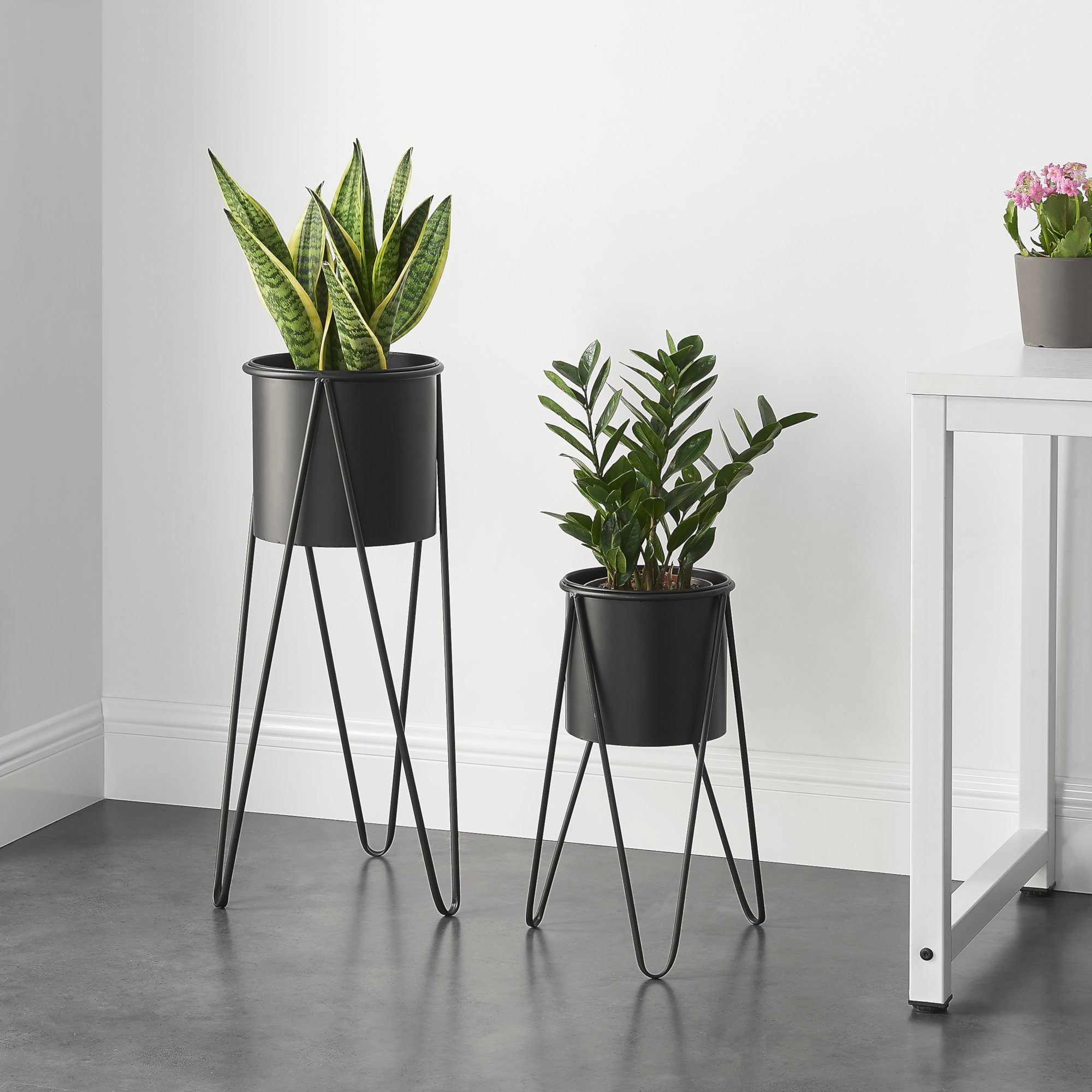 en.casa Blumenständer (Set, 2 St), Hedera Pflanzständer im 2er Set Metall Schwarz