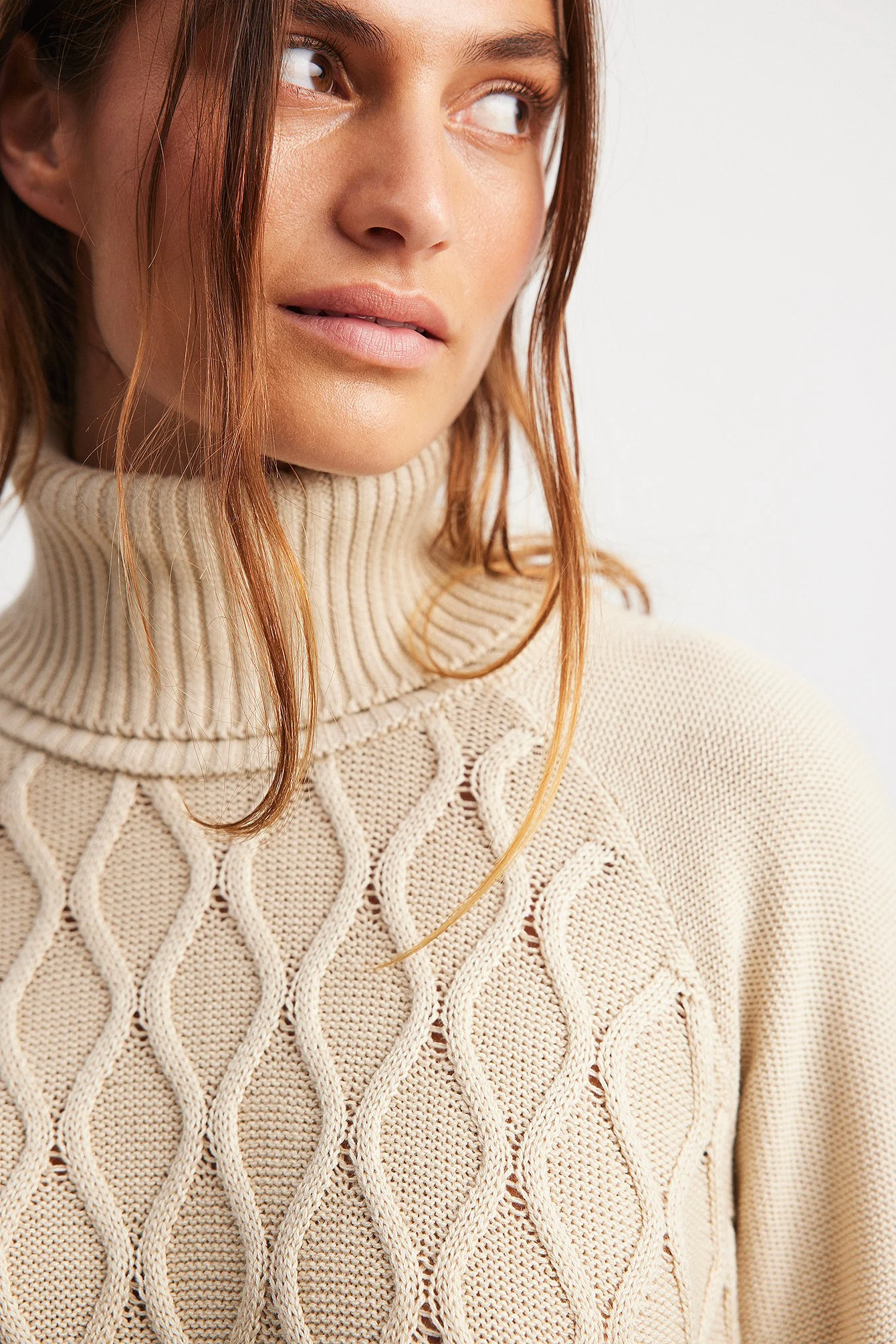 Strickpullover mit Rollkragen und Zopfmuster
