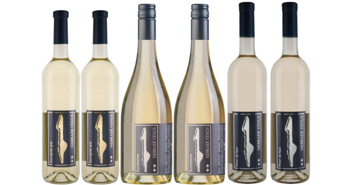Everyday white wine von Weinhof Winter günstig bei wein.de kaufen