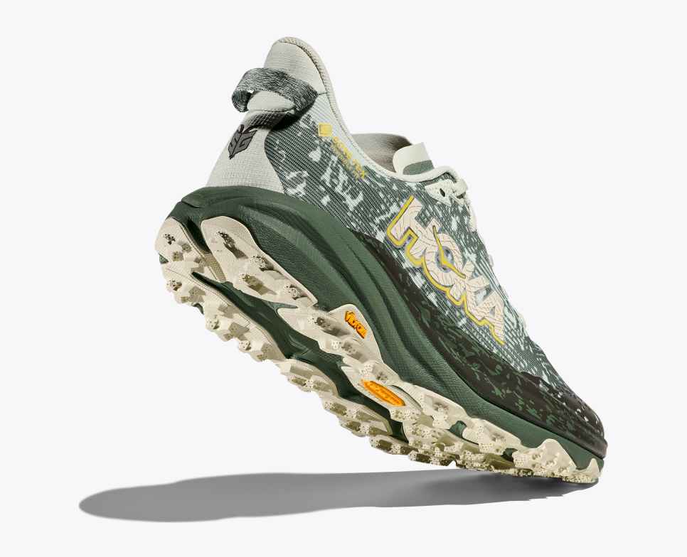 Speedgoat 6 GORE-TEX Sea Glass / Fern