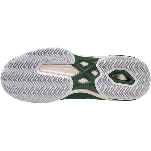 HERREN TENNISOUTDOORSCHUHE WAVE EXCEED LIGHT CC(M)