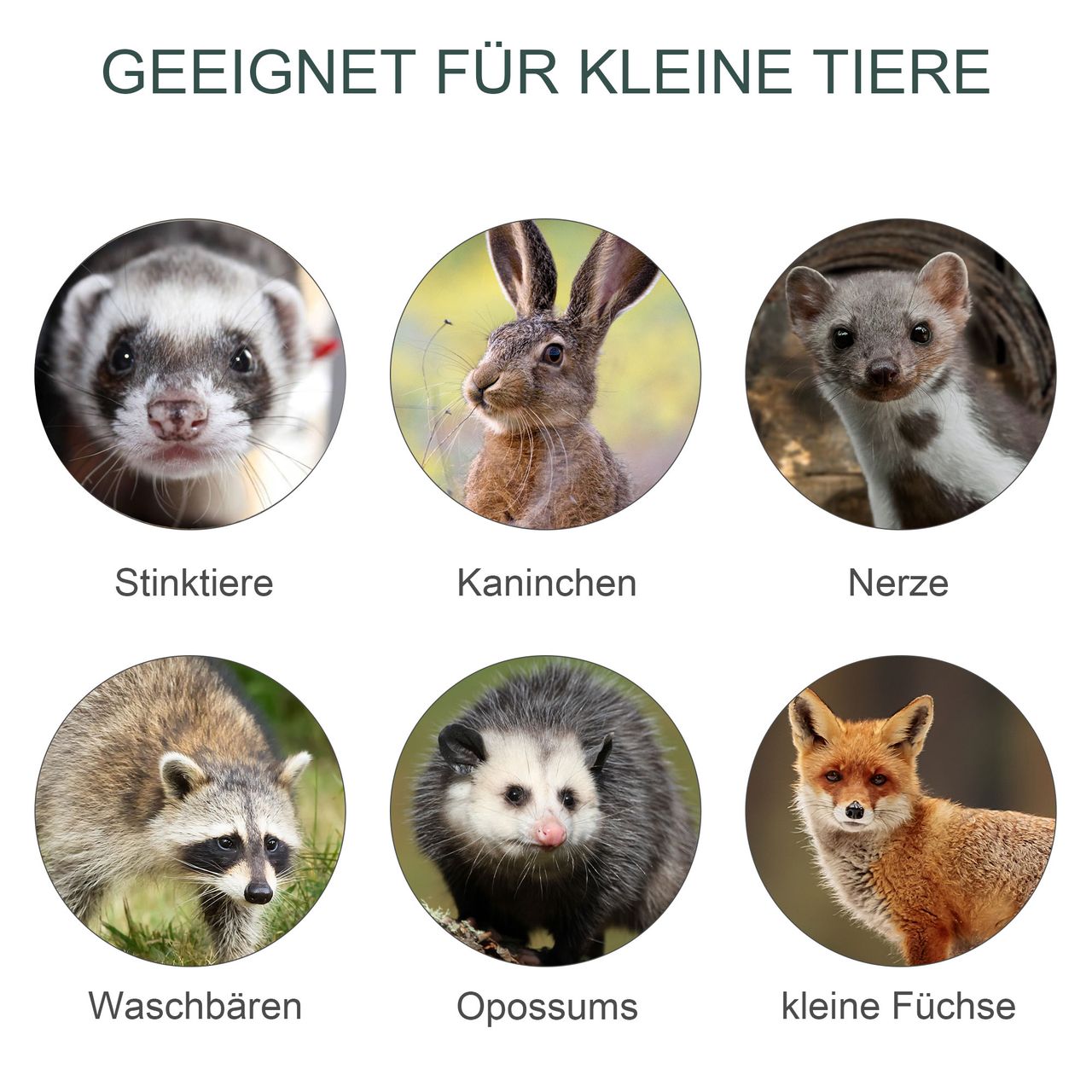 PawHut Tierfalle Marderfalle Fangfalle für Kaninchen Katzenfalle Ratte 2 Eingänge Griff Metall Dunkelgrün 100L x 25B x 28H cm