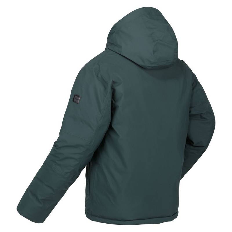Regatta Colehurst Winterjacke Herren