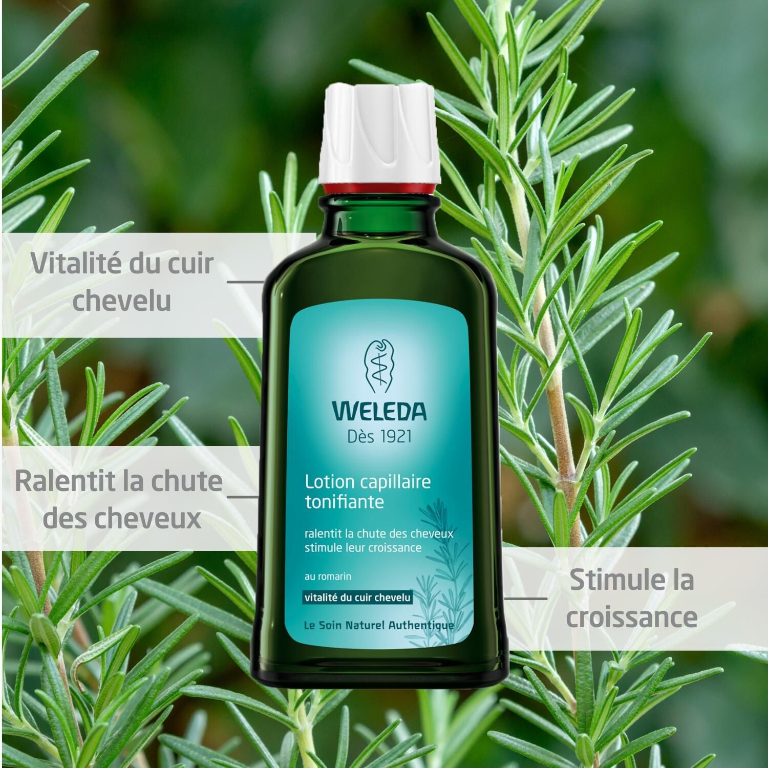 Weleda Romarin Lotion Capillaire Tonifiante - 100 ml