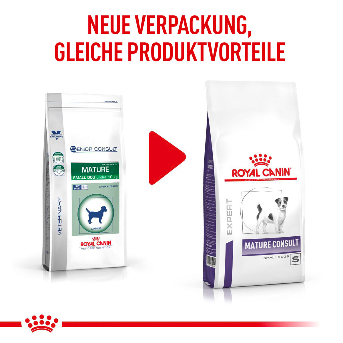 ROYAL CANIN Expert MATURE CONSULT SMALL DOGS Trockenfutter für Hunde