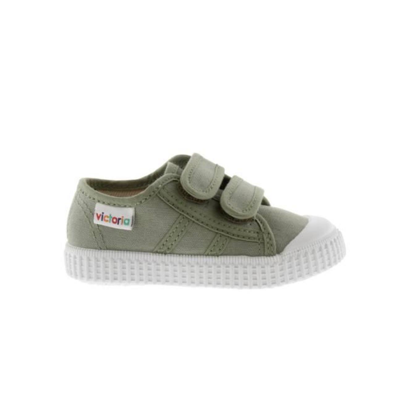 VICTORIA, 136606, Aloe vert