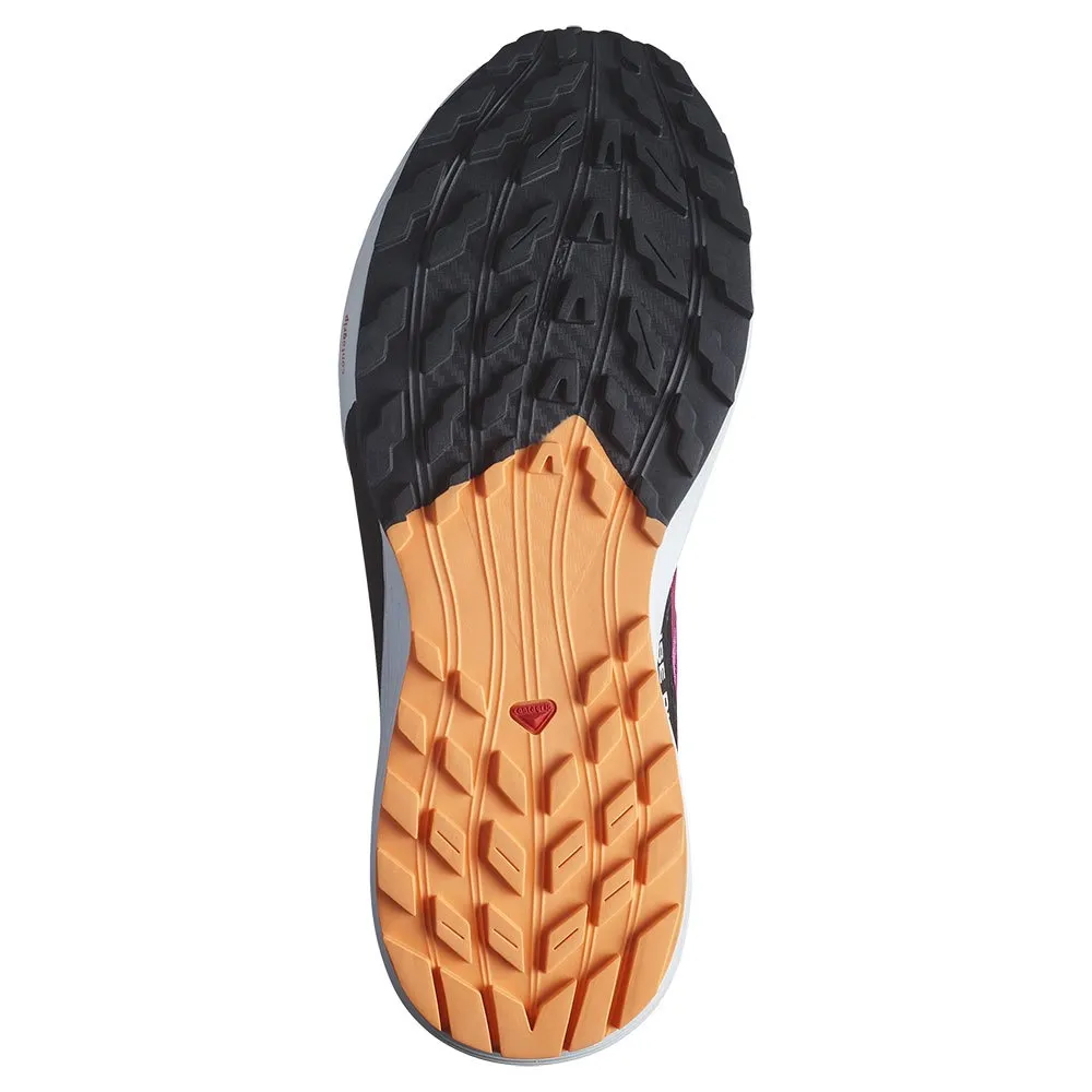 Salomon Sense Ride 5 GTX L47459700 / lila