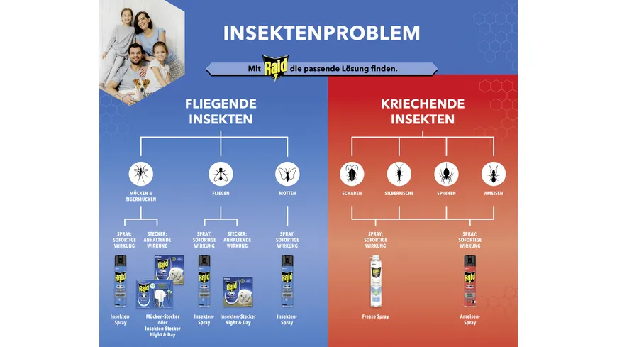 Raid Ameisen-Spray gegen kriechende Insekten 400 ml