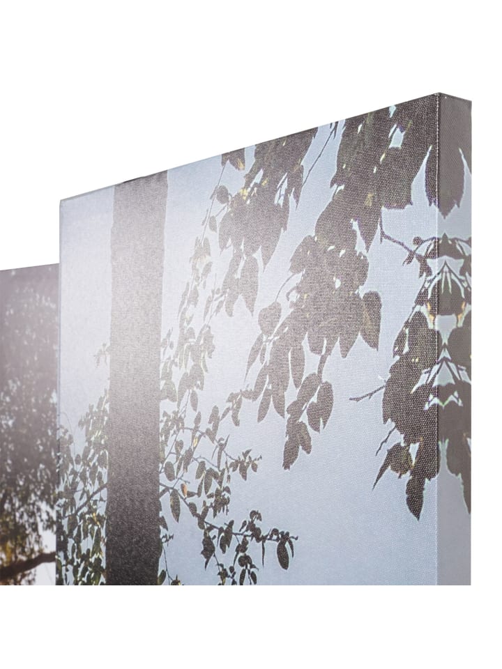 MCW Foto-Paravent mit Schallschutz L55, 180x204cm Waldsee günstig kaufen onesize