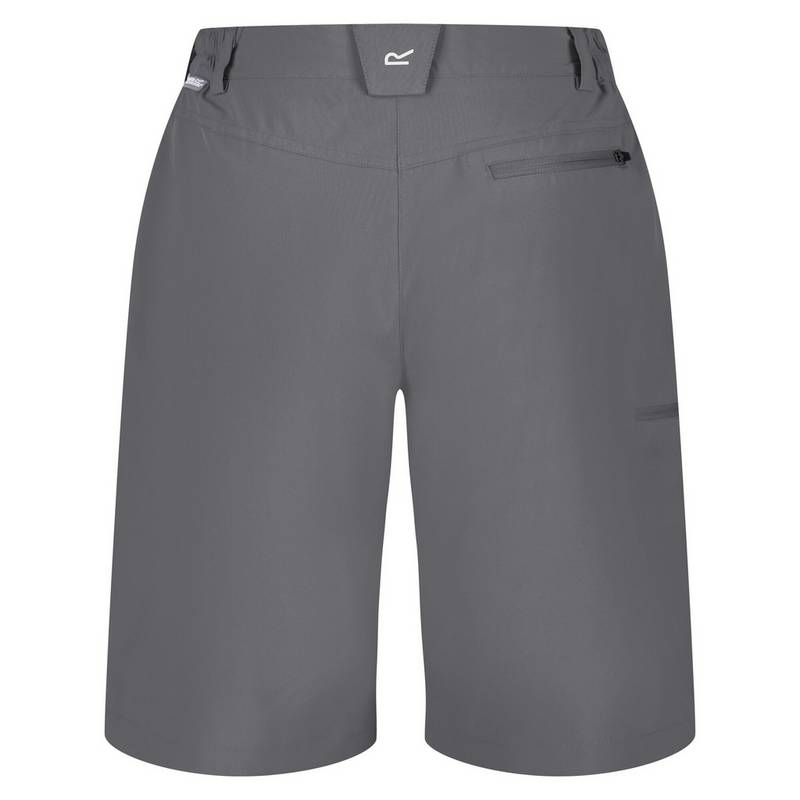 Regatta Xert It Shorts Damen