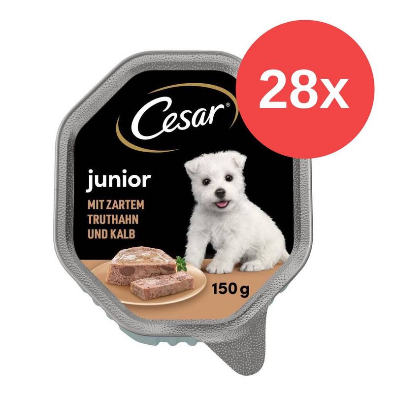 Sparpaket Cesar Junior Schale 28 x 150 g