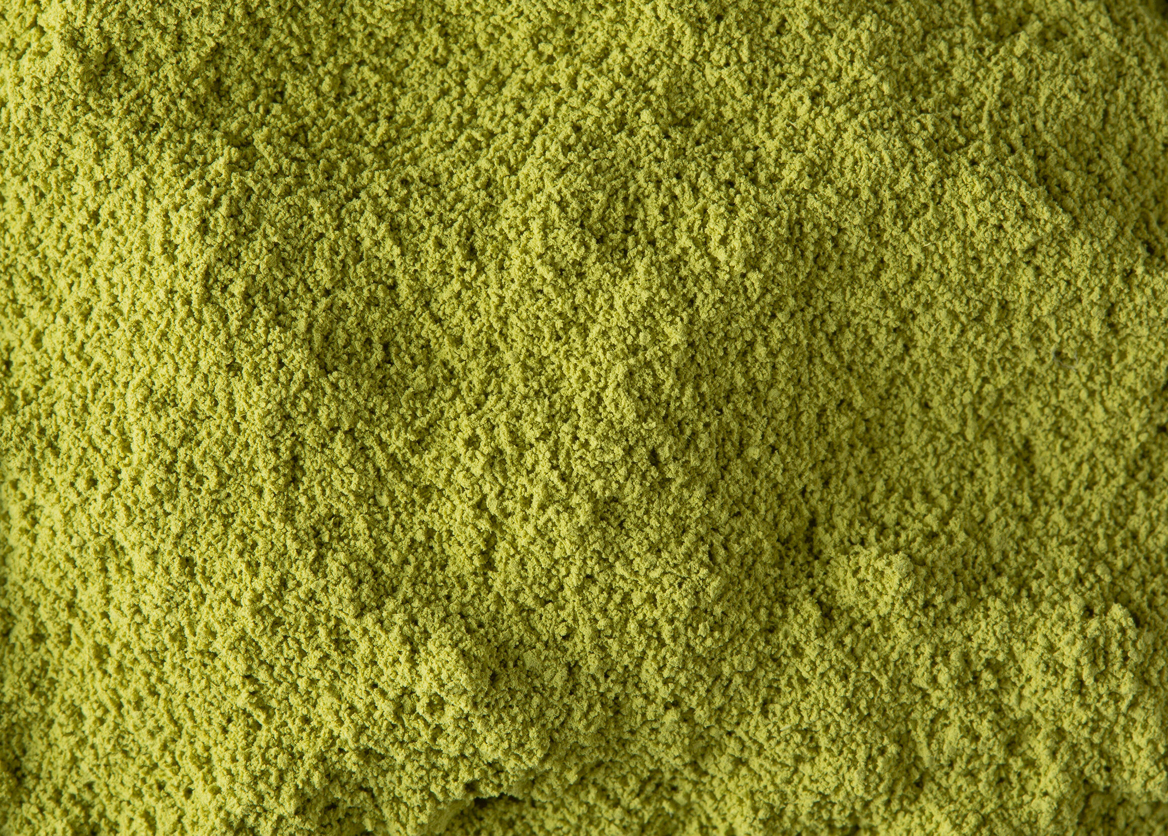 Matcha pâtissier-Boîte 100g