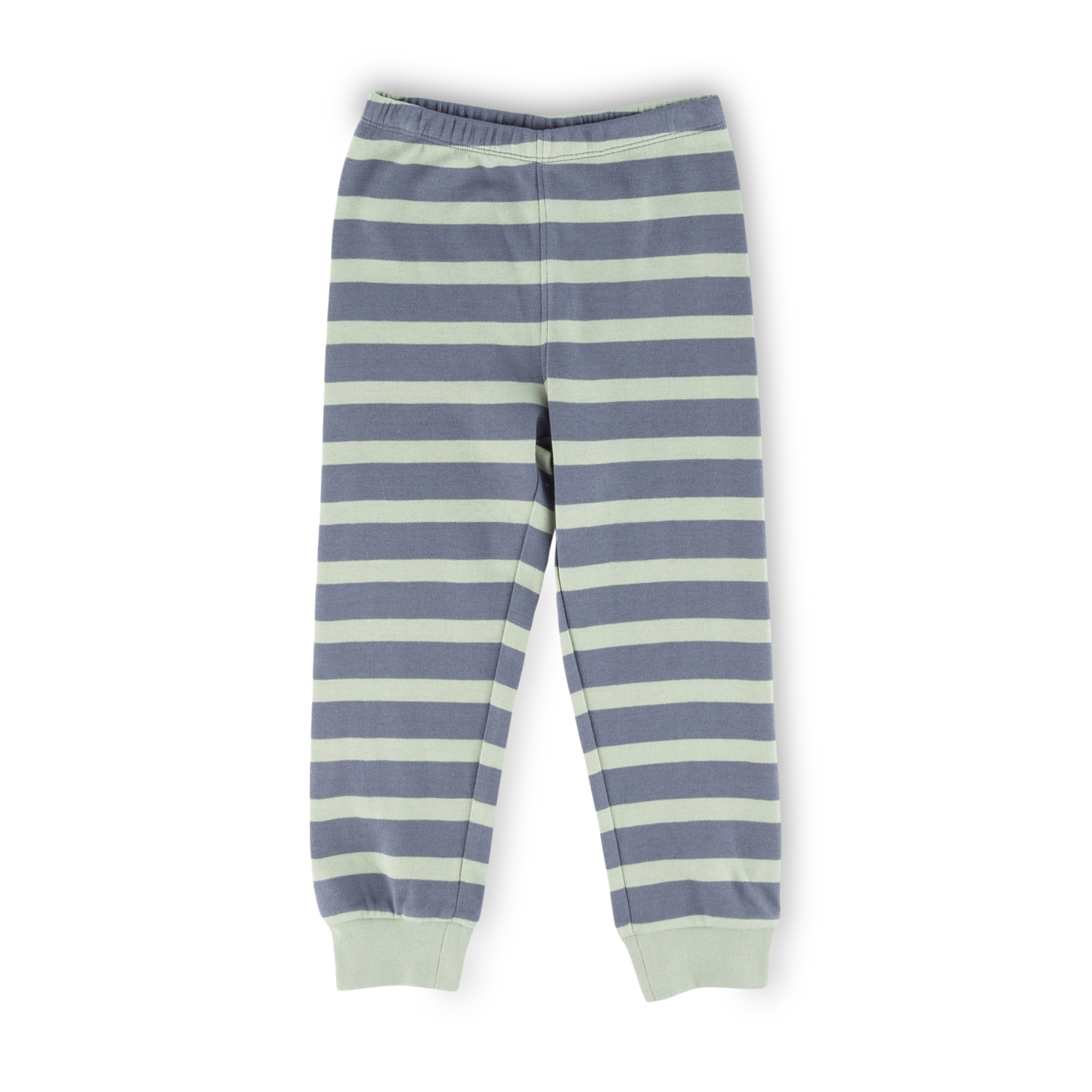 Langer Kinder Schlafanzug Chamäleon, grün-blau