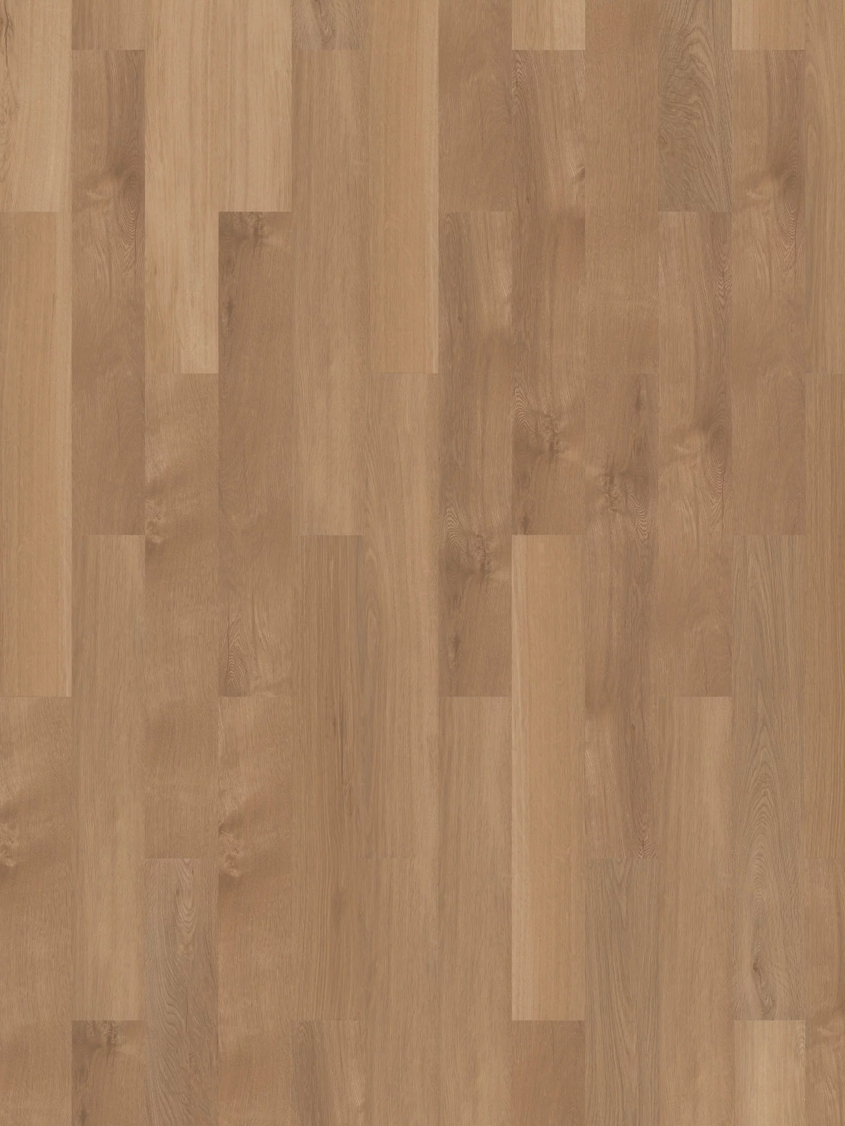 Tornby Vinylboden, Canyon Oak Coll23115