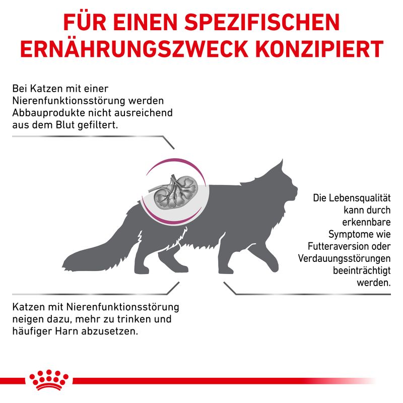 Royal Canin Veterinary Feline Renal Special
