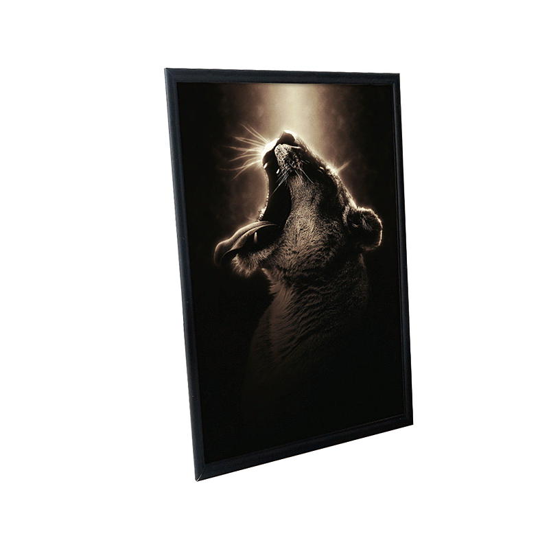 Home Ramme Siri 40x50 cm, sort