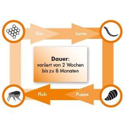 Ardap Care ARDAP Fogger Ungeziefer Vernebler 2 x 30 m²