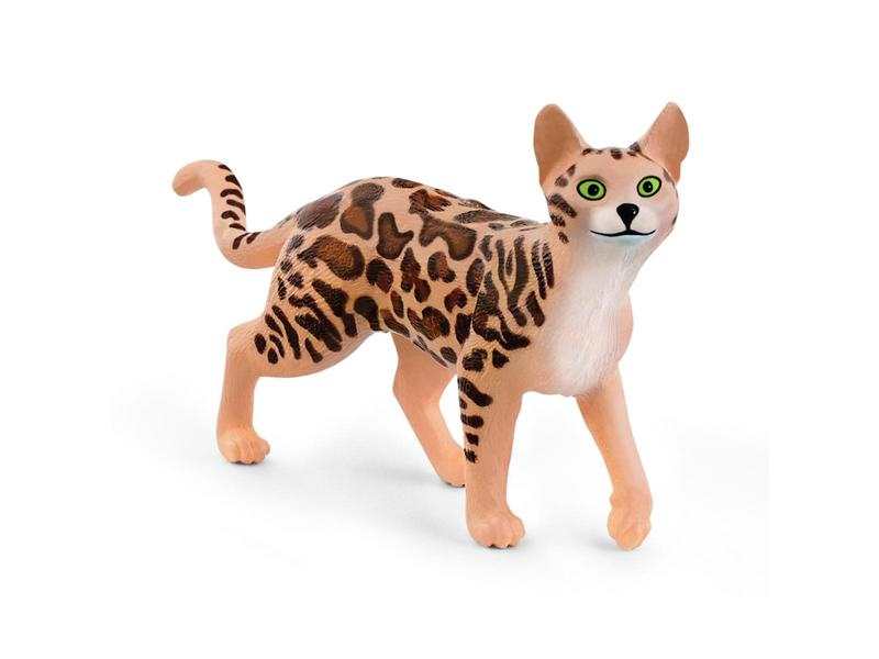 Chat bengal