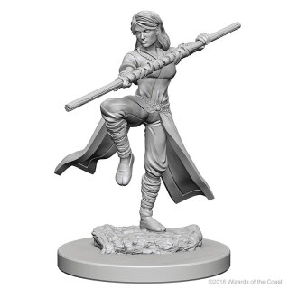 Human Female Monk: D&D Nolzurs Marvelous Unpainted Minis