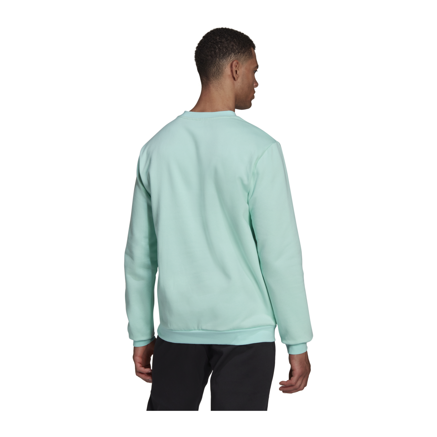 adidas Entrada 22 Sweatshirt Türkis