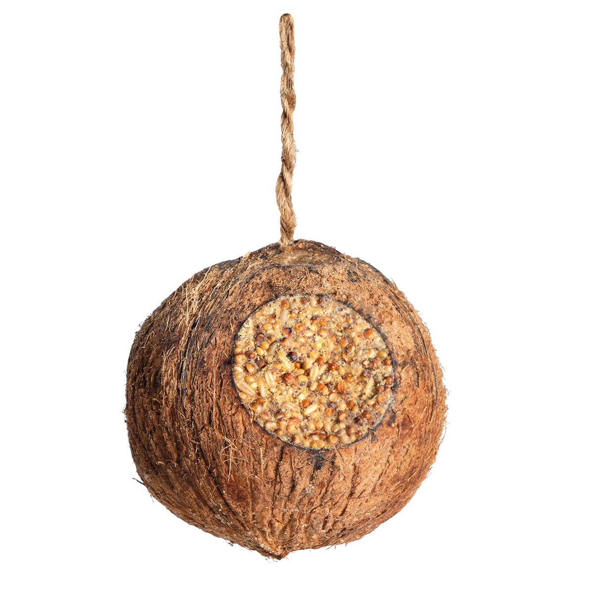 Erdtmann's Vegane Kokosnuss (3 Löcher) kaufen