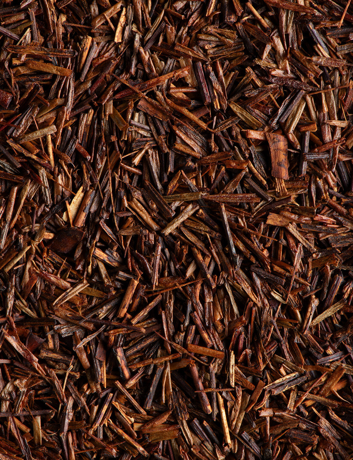 Rooibos Cederberg BIO-24 sachets enveloppés