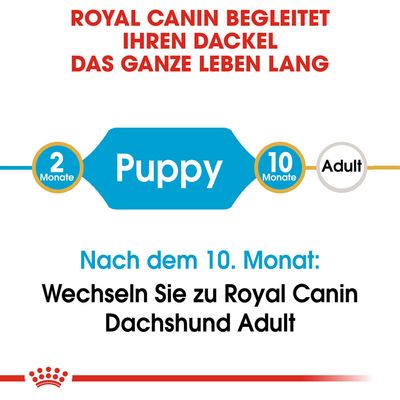 Royal Canin Dachshund Puppy