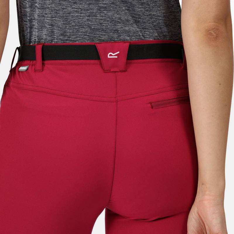 Regatta Xert Capri Wanderhose Damen
