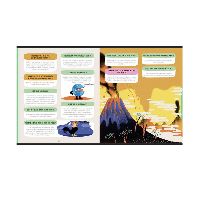 Le Larousse des 500 pourquoi comment - Larousse Jeunesse