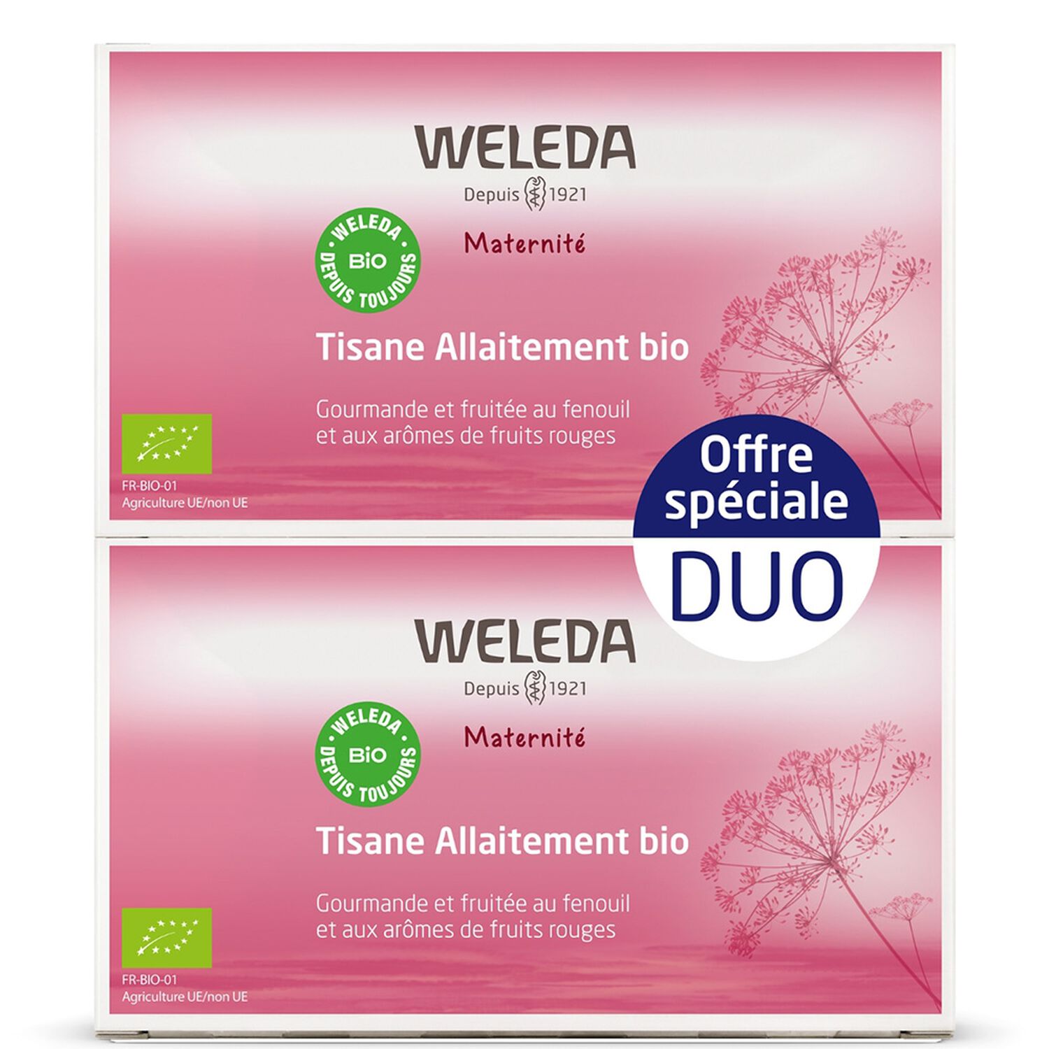 Weleda Maternité Duo Tisane Allaitement Fruits Rouges
