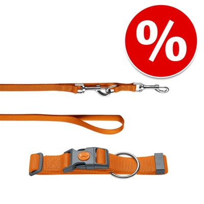 HUNTER Set: Halsband London + Führleine London, orange