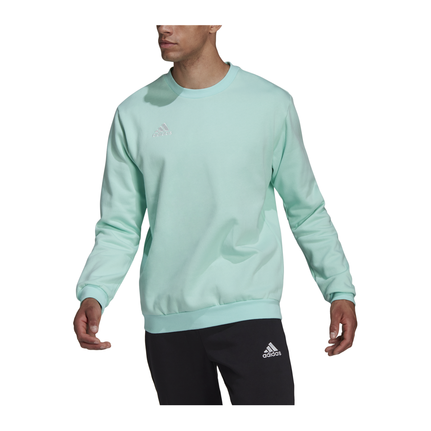 adidas Entrada 22 Sweatshirt Türkis