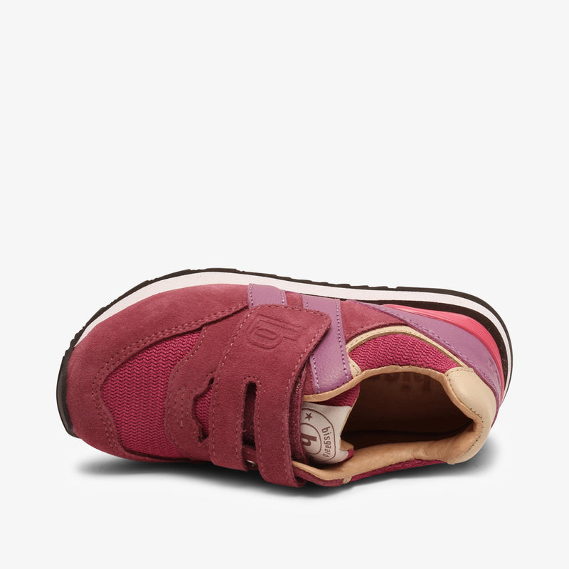 winston pink - Rosa