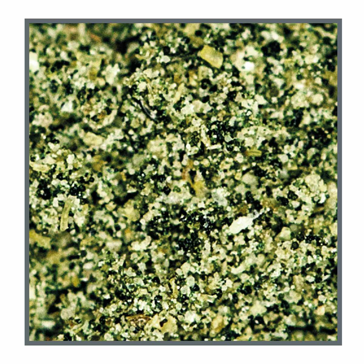 Dupla Marin Coral Food phyto 180ml, 85g kaufen