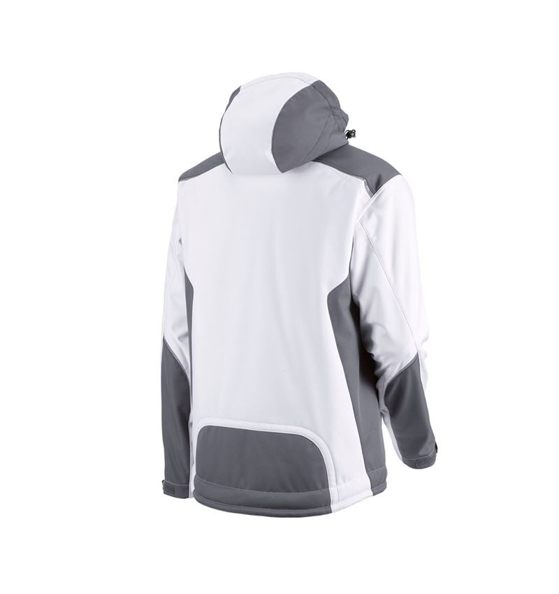 Softshelljacke e.s.motion