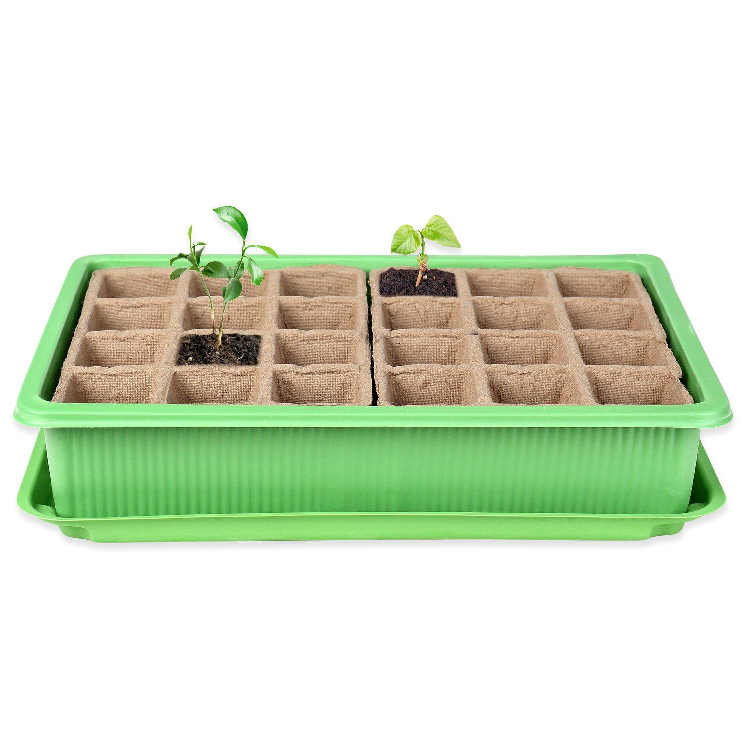 Schramm Frühbeet Schramm® 6 Stück Anzucht Set Gewächshaus Anzucht Schale Töpfe Zimmergewächshaus 27 x 19 x 11 cm für 144 Anzuchttöpfe Anzuchtset Mini-Gewächshaus