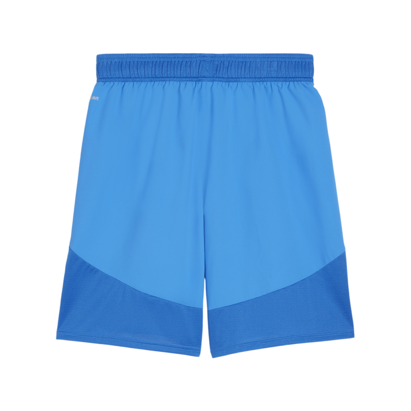 PUMA teamFINAL Short Blau Weiss Blau F02