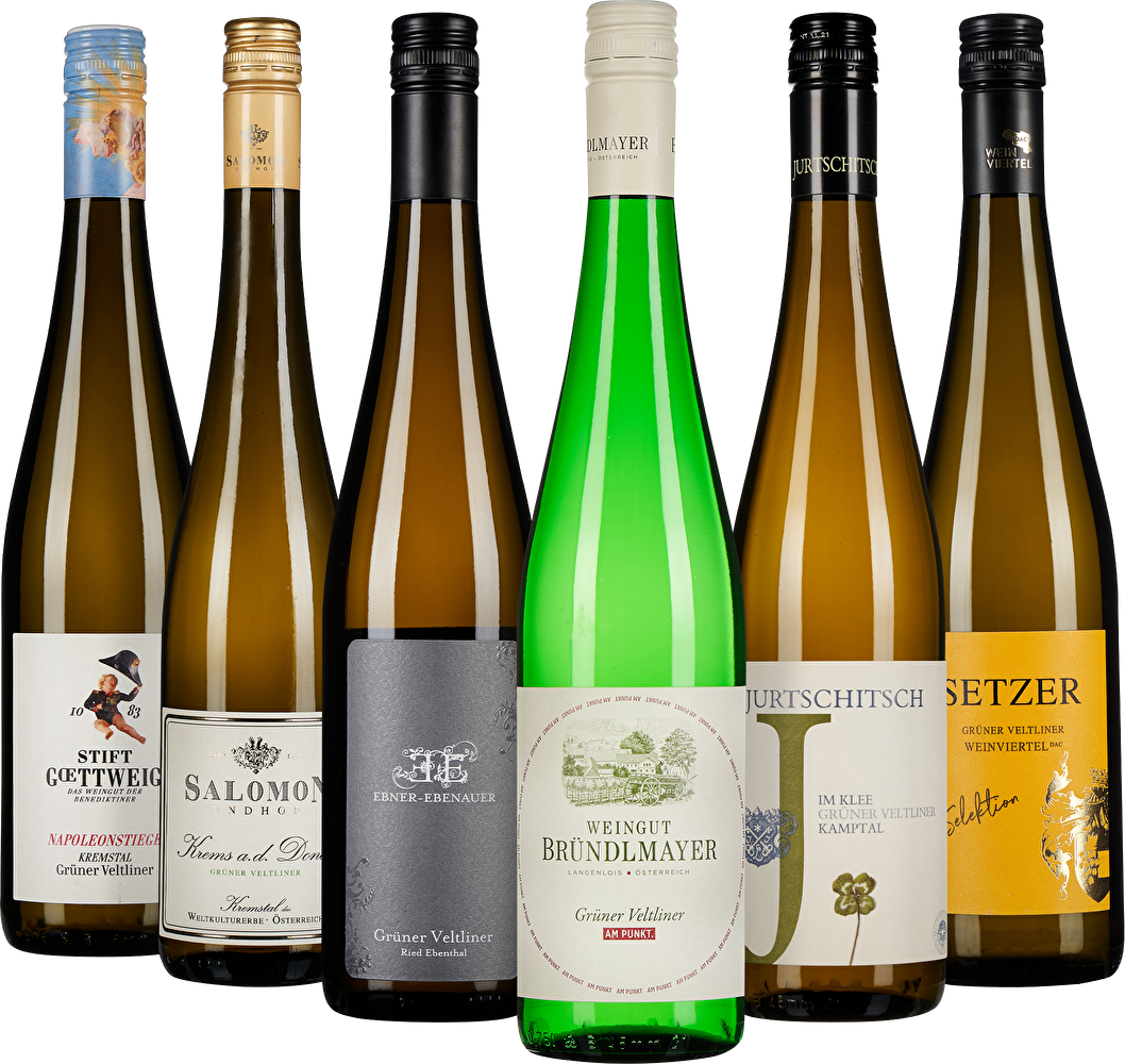 WEIN & CO Grüner Veltliner Probierpaket