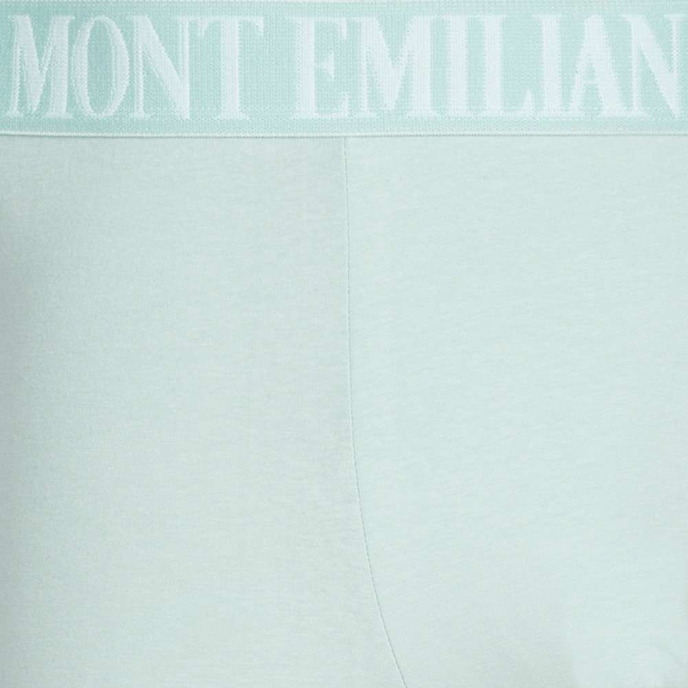 MONT EMILIAN 