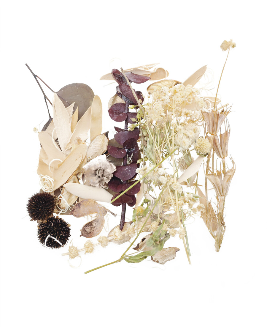 Potpourri