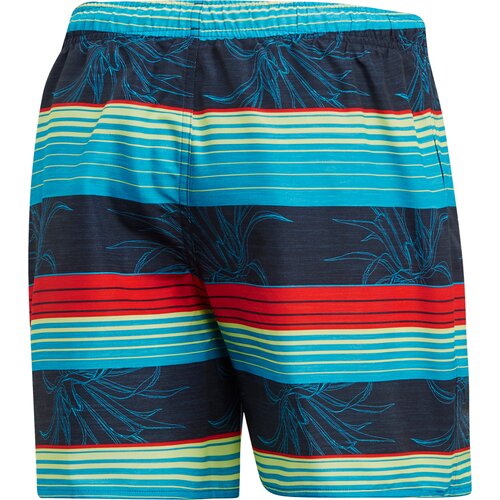 HERREN STRIPE BADESHORTS