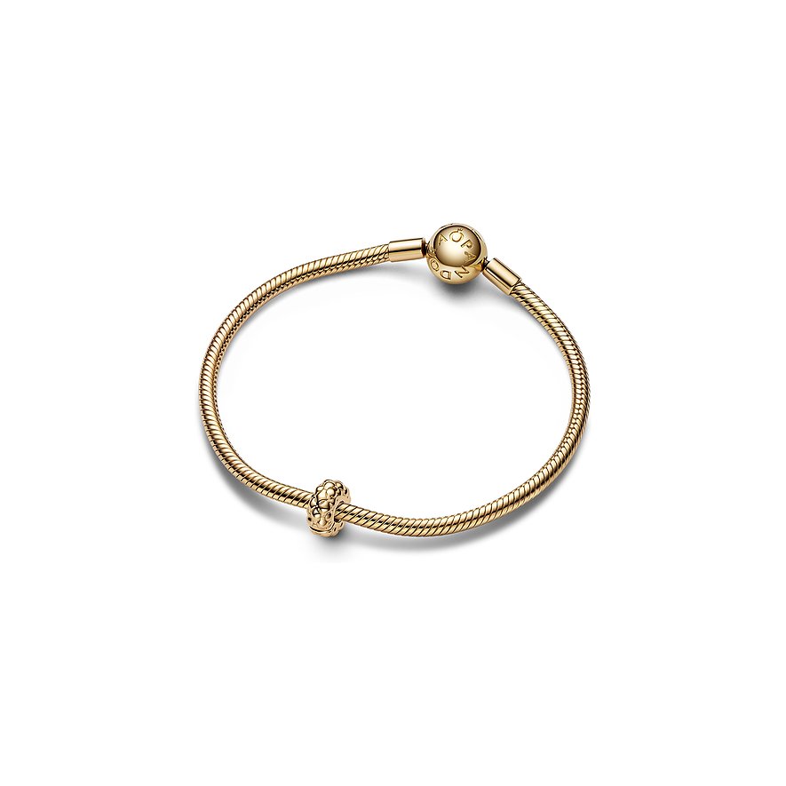Pandora Charm Moments