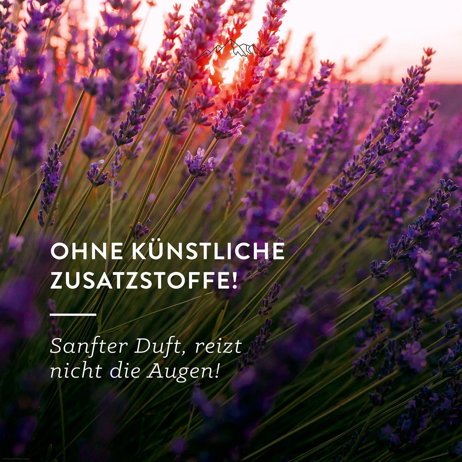 Allgäuquelle Raumduft Bio Infrarotkabinen-Spray Allgäuer Nachtruhe Raumduft (1 x 100ml), mit Lavendel, Zirbelkiefer und Eukalyptus