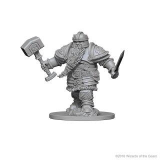 Dwarf Male Fighter: D&D Nolzurs Marvelous Unpainted Minis